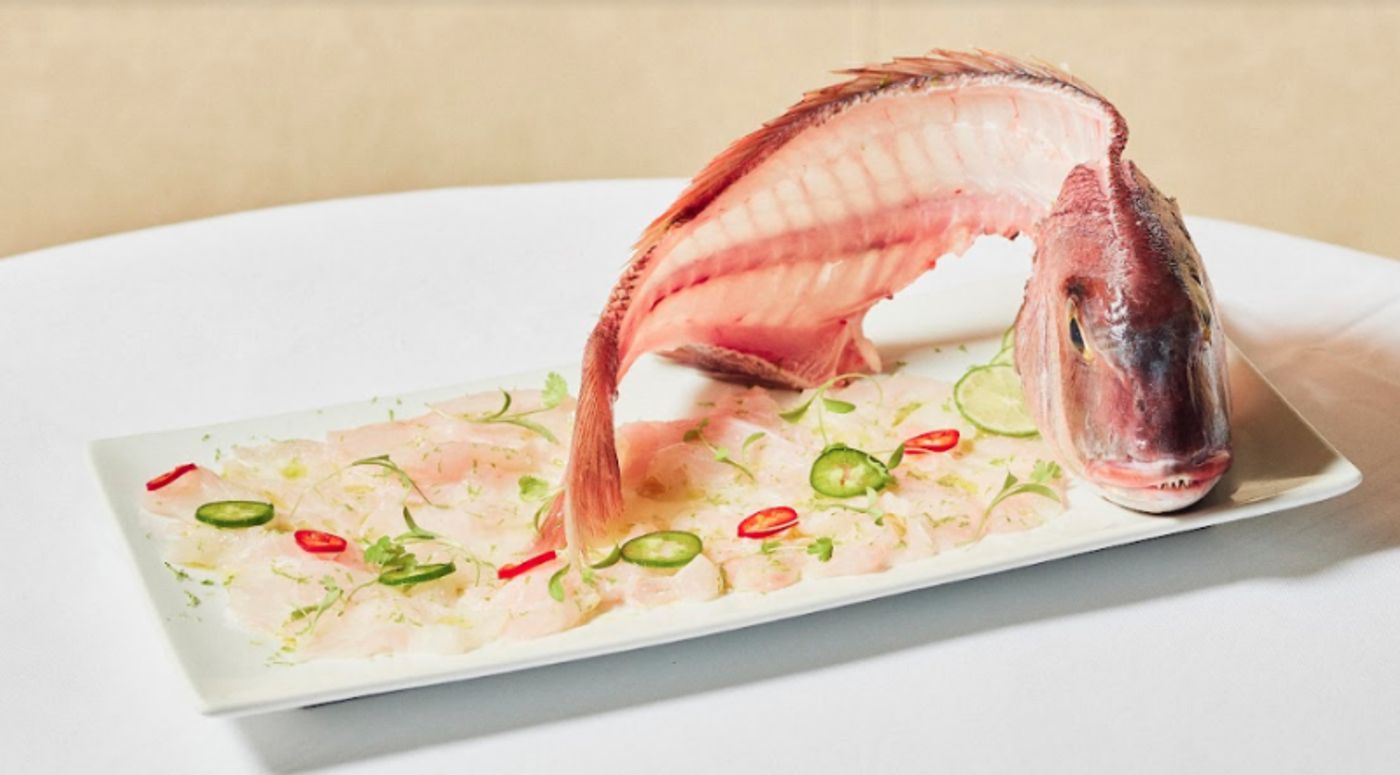 Review: AVRA ROCKEFELLER CENTER-Eat Like a Greek God or Goddess at The Group's Latest Manhattan Outpost Review: AVRA ROCKEFELLER CENTER-Eat Like a Greek God or Goddess at The Group's Latest Manhattan Outpost Image