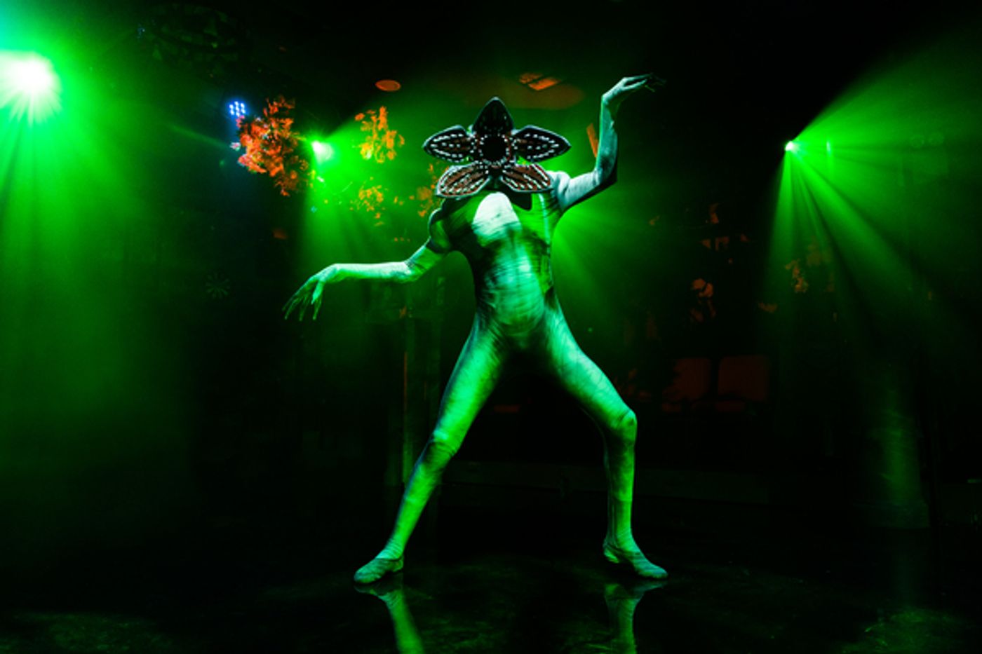 Photos: See All New Images of STRANGER SINGS THE PARODY MUSICAL Opening Tonight  Image