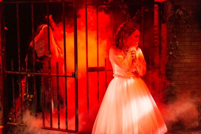 Review: CLOTHES FOR A SUMMER HOTEL at Tennessee Williams Threatre Company Image