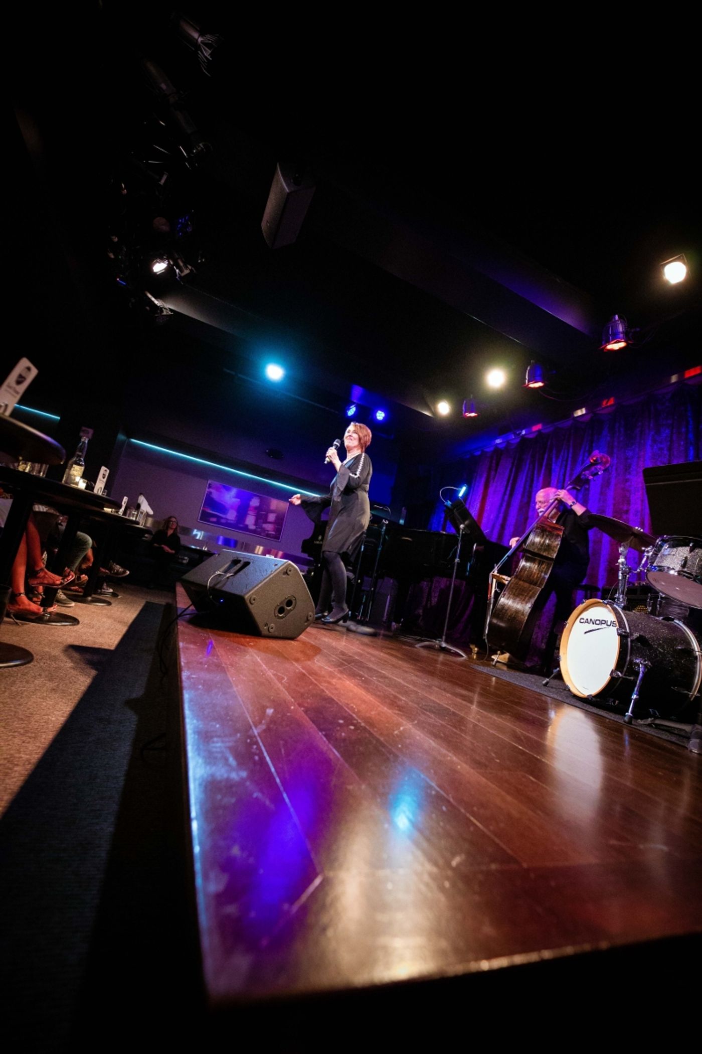 Photos: September 20th Episode of THE LINEUP WITH SUSIE MOSHER at Birdland Theater Is Especially Starry Photos: September 20th Episode of THE LINEUP WITH SUSIE MOSHER at Birdland Theater Is Especially Starry Image