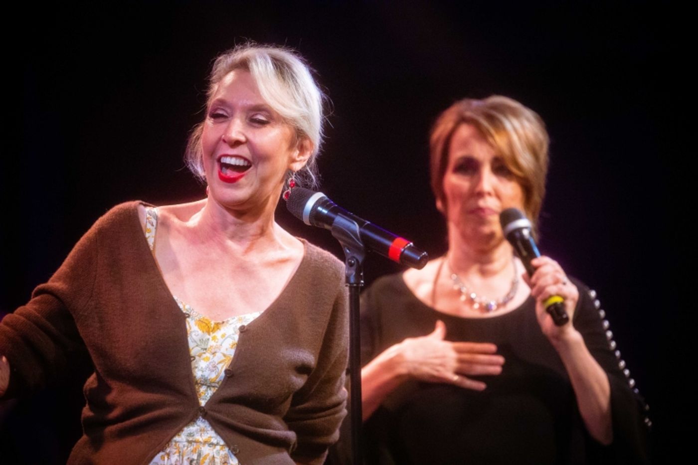 Photos: September 20th Episode of THE LINEUP WITH SUSIE MOSHER at Birdland Theater Is Especially Starry Photos: September 20th Episode of THE LINEUP WITH SUSIE MOSHER at Birdland Theater Is Especially Starry Image