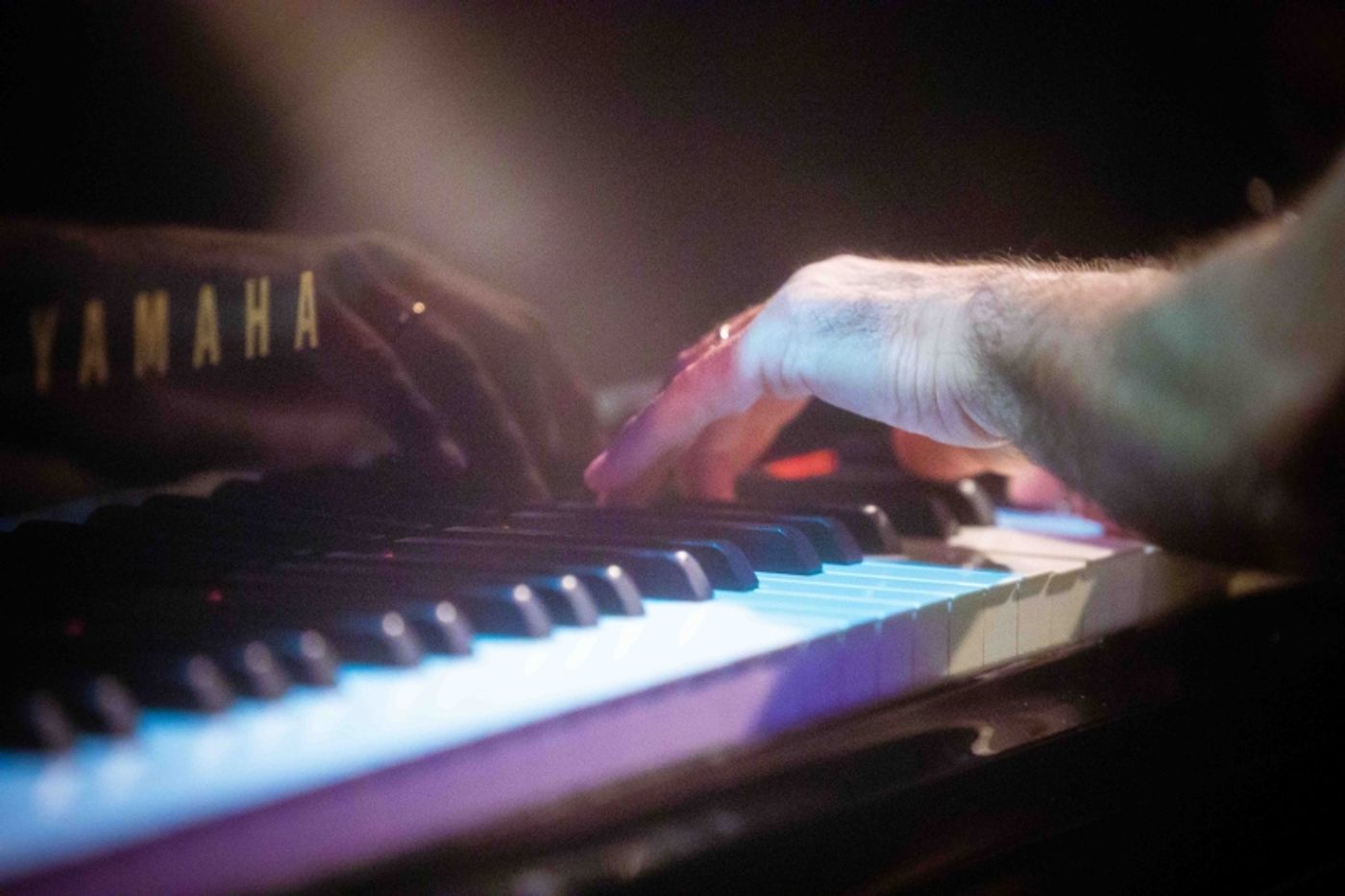 Photos: September 20th Episode of THE LINEUP WITH SUSIE MOSHER at Birdland Theater Is Especially Starry Photos: September 20th Episode of THE LINEUP WITH SUSIE MOSHER at Birdland Theater Is Especially Starry Image