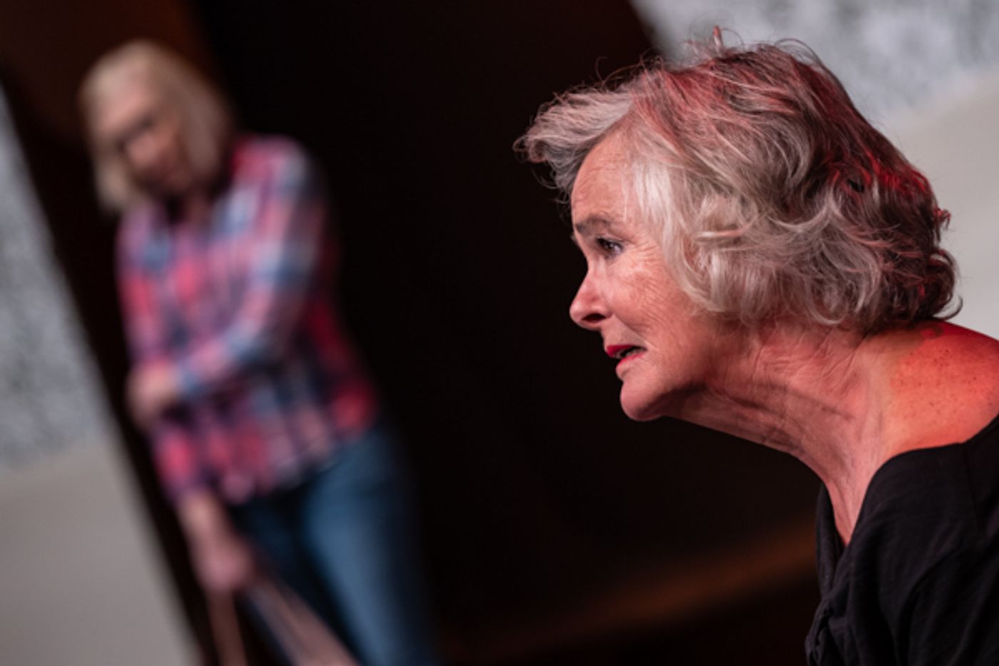 Photos: First look at Original Productions Theatre's An Evening with Lauren Wilkens: Motherload and Skinny  Image
