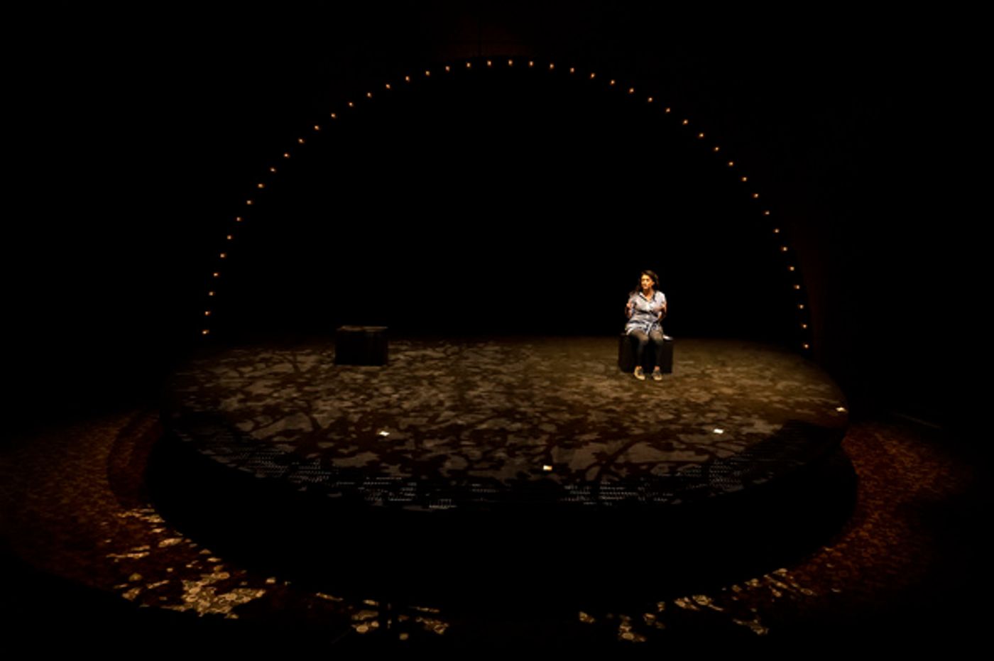 Photos: THE SEARCH FOR SIGNS OF INTELLIGENT LIFE IN THE UNIVERSE Starring Cecily Strong to Open in Los Angeles  Image