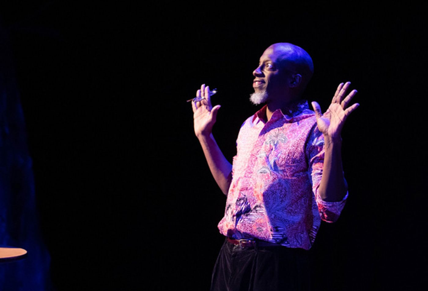 Photos: First Look At World Premiere Of SILHOUETTE OF A SILHOUETTE At Wilbury Theatre Group  Image