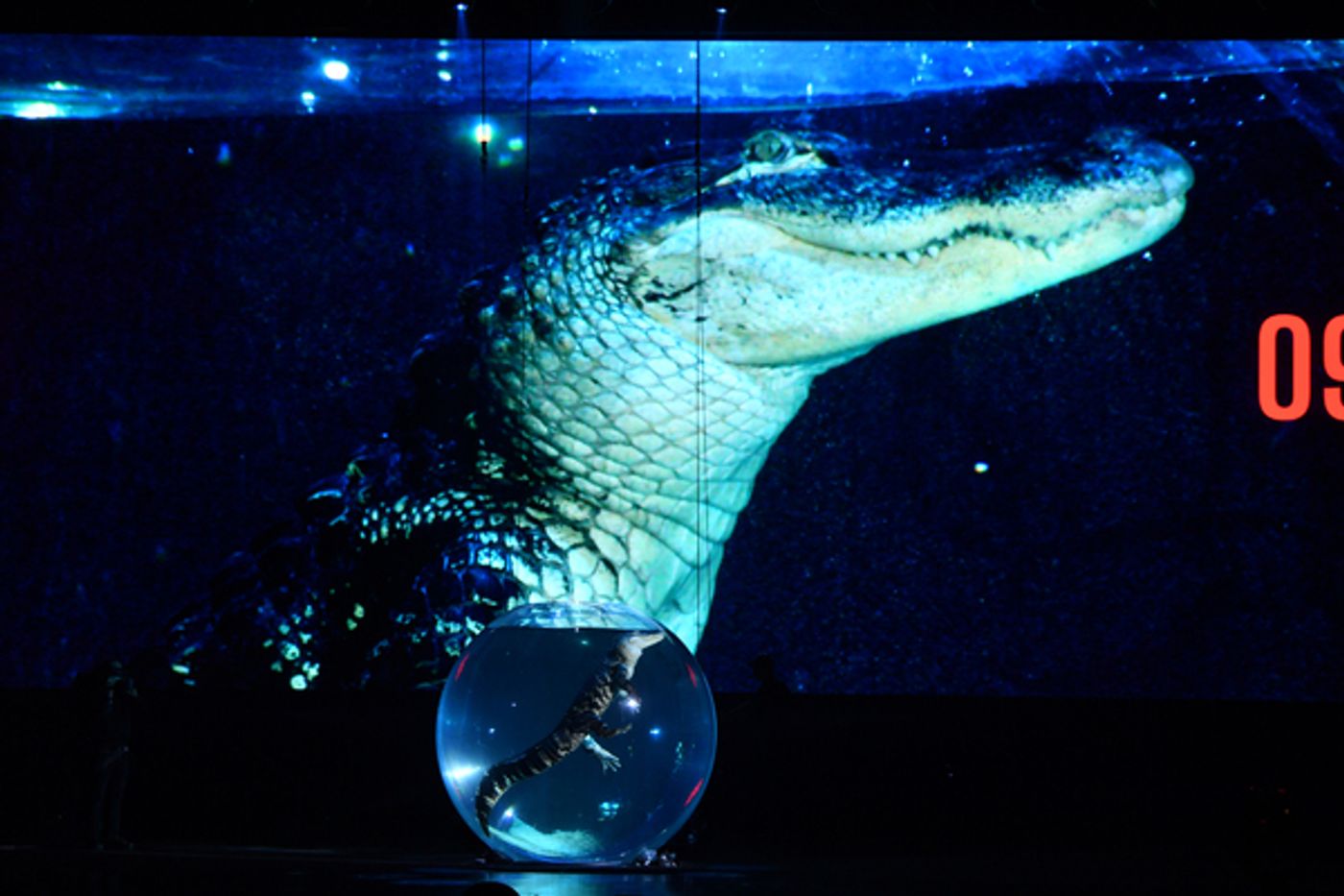 Photos: Inside Opening Night of DAVID BLAINE: IN SPADES at the Resorts World Theatre  Image