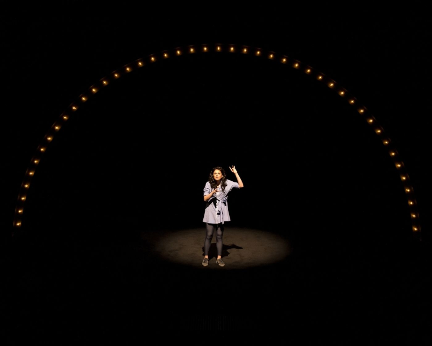 Review: THE SEARCH FOR SIGNS OF INTELLIGENT LIFE IN THE UNIVERSE at Mark Taper Forum  Image