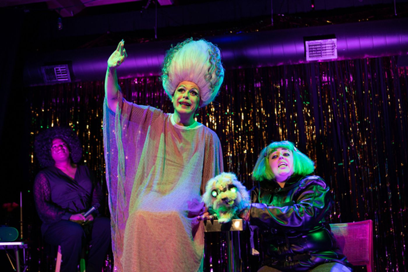 Photos: First Look at Hell in a Handbag Productions' FRANKENSTREISAND  Image