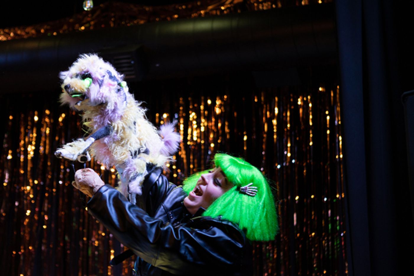 Photos: First Look at Hell in a Handbag Productions' FRANKENSTREISAND  Image