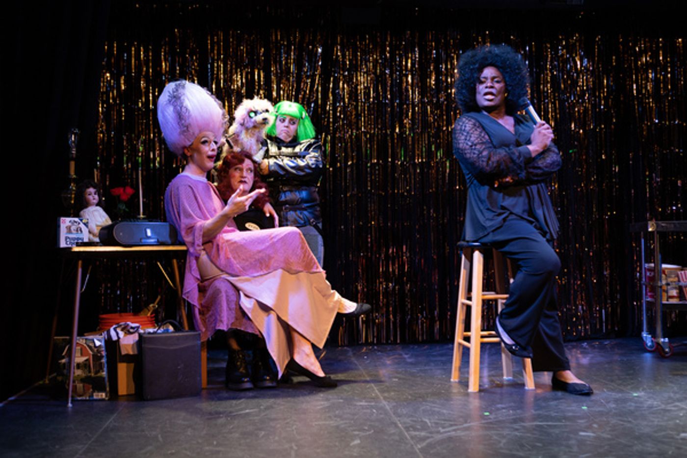 Photos: First Look at Hell in a Handbag Productions' FRANKENSTREISAND  Image