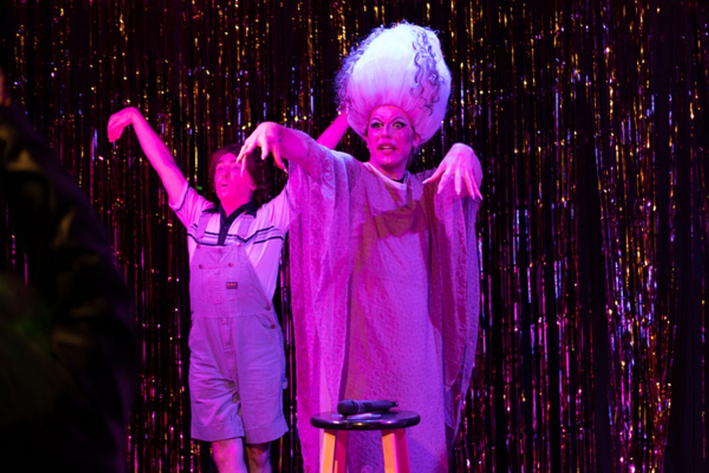 Photos: First Look at Hell in a Handbag Productions' FRANKENSTREISAND  Image