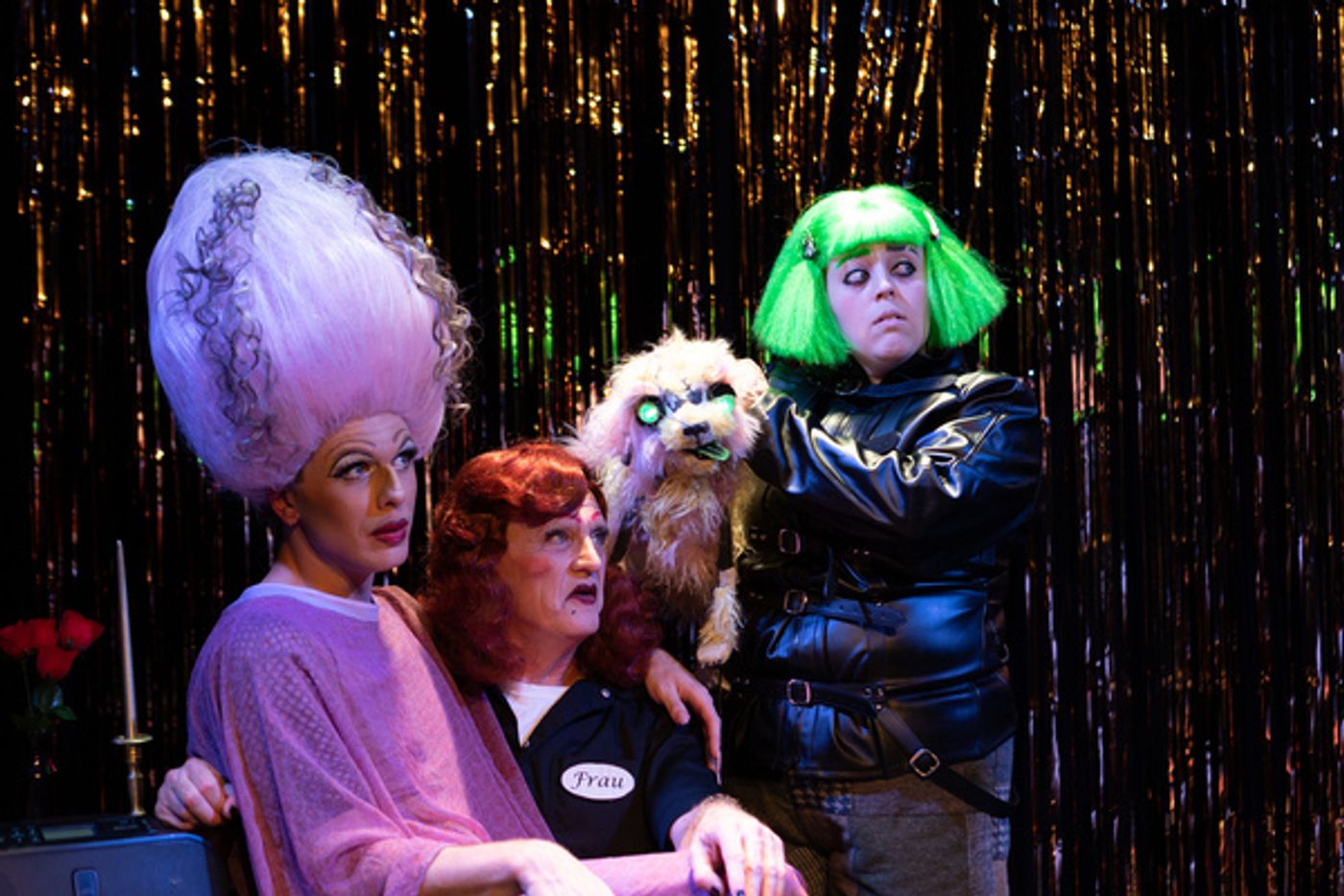 Photos: First Look at Hell in a Handbag Productions' FRANKENSTREISAND  Image