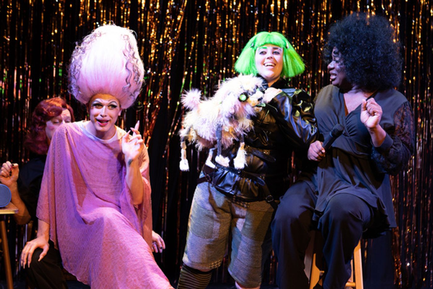 Photos: First Look at Hell in a Handbag Productions' FRANKENSTREISAND  Image