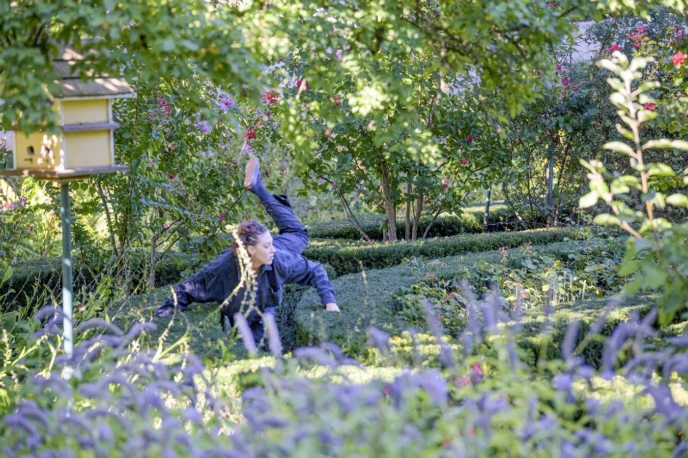 Photos: LIBERTY HALL DANCE FESTIVAL Presented by Buggé Ballet and Liberty Hall  Image
