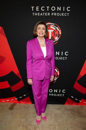 Nancy Pelosi Photo