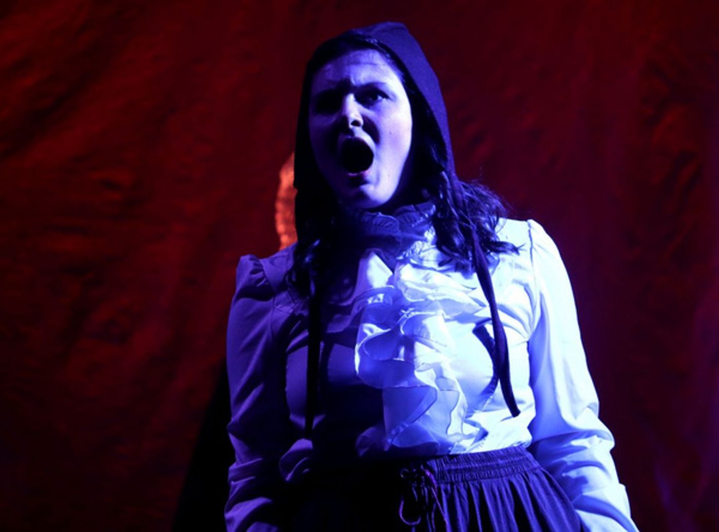 Photos: First Look At FRANKENSTEIN THE MUSICAL At The Players Theatre  Image