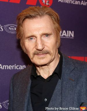 Liam Neeson Photo
