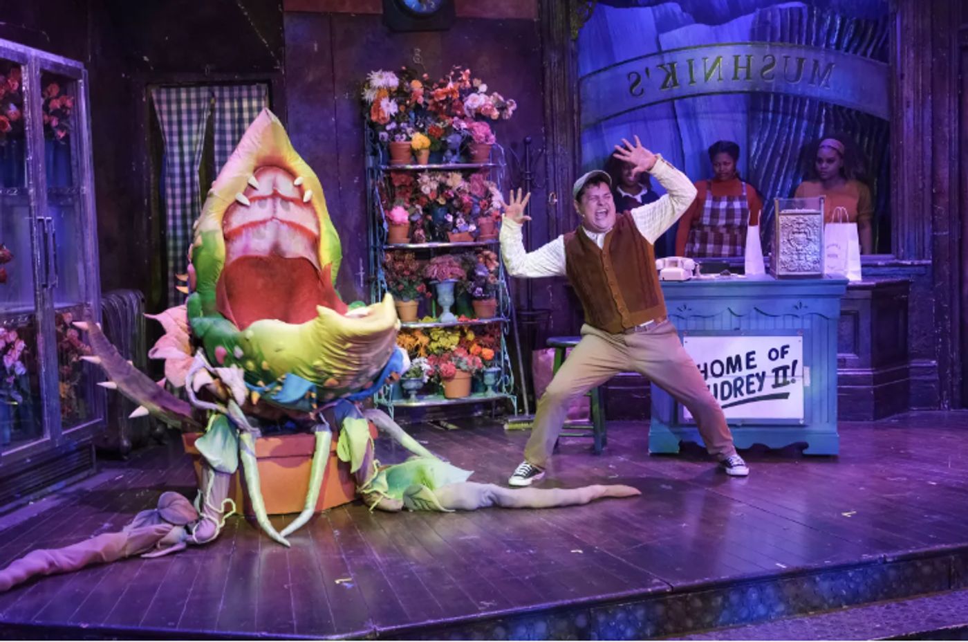 Review: LITTLE SHOP OF HORRORS at San Diego Musical Theatre Review: LITTLE SHOP OF HORRORS at San Diego Musical Theatre Image