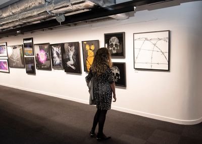 ‘Caged’ art exhibition at the Riverside Studios Photo