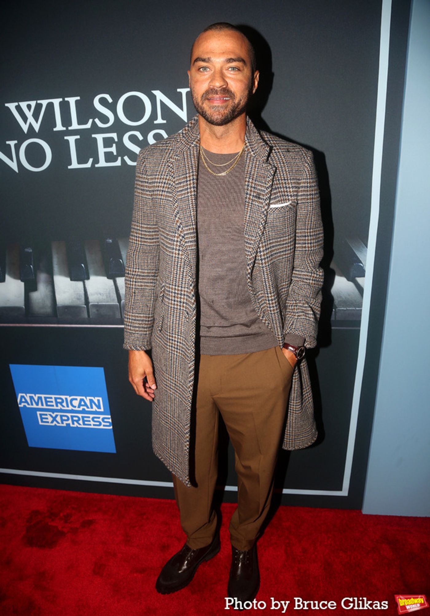 Photos: Stars Arrive at THE PIANO LESSON Opening Night  Image