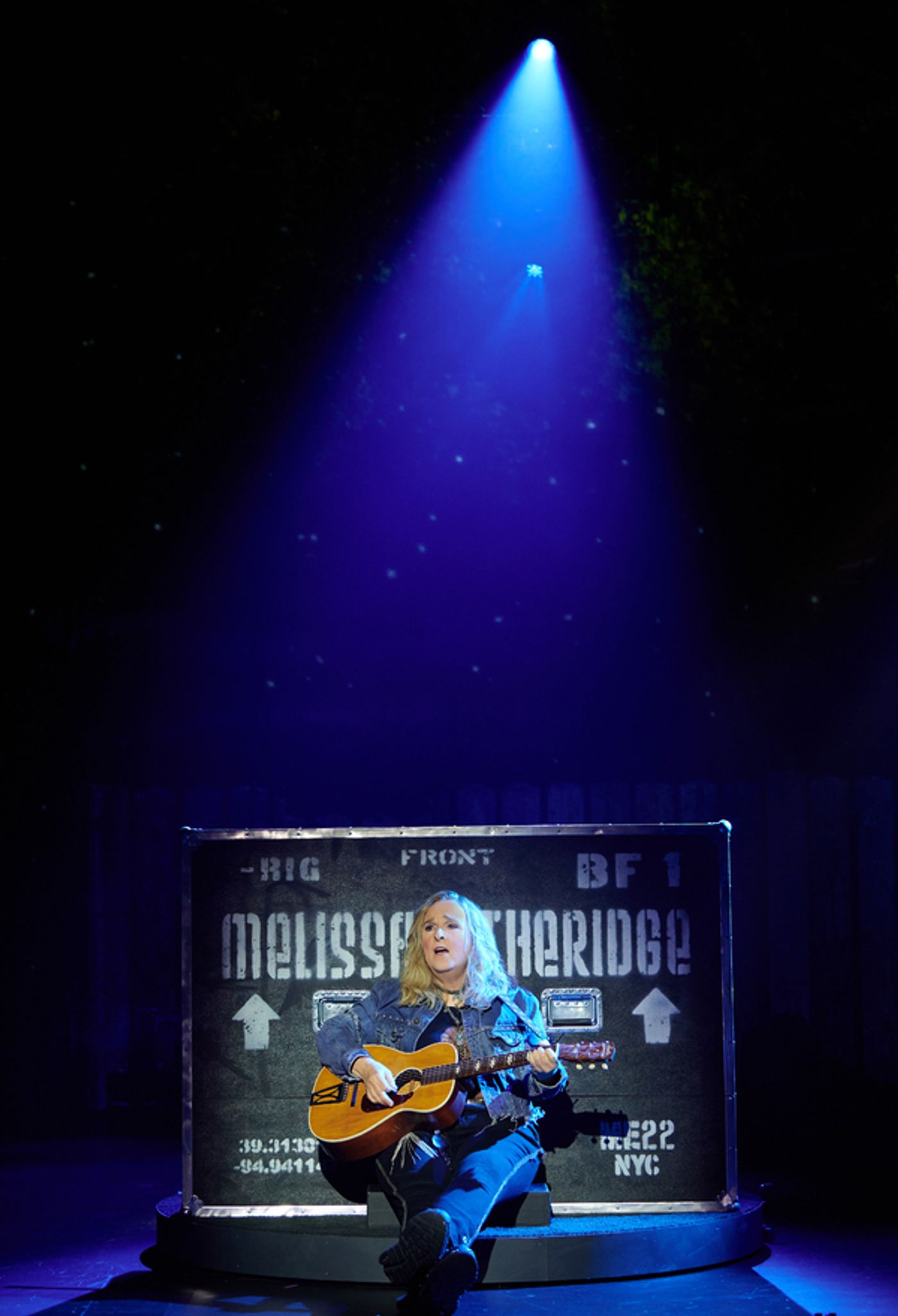 Photos: First Look at Melissa Etheridge's MY WINDOW - A JOURNEY THROUGH LIFE  Image