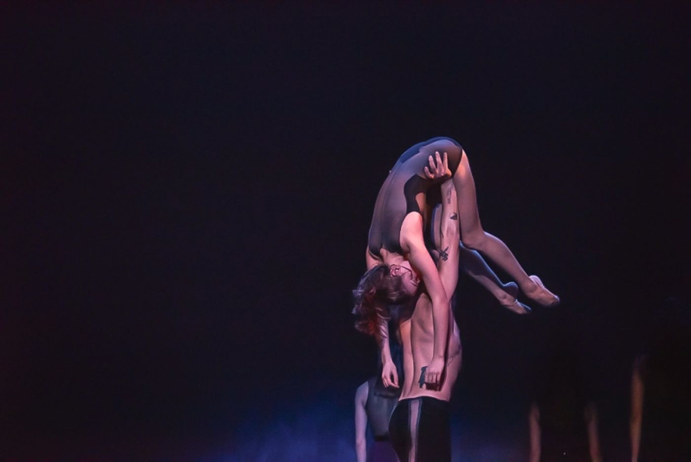 Review: FALL WORKS at Charlotte Ballet  Image