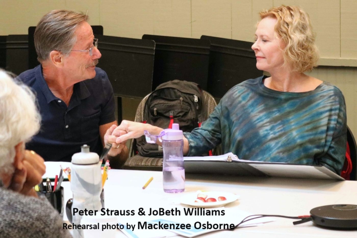 Interview: LOVE & Life Not AMONG THE RUINS for Peter Strauss  Image