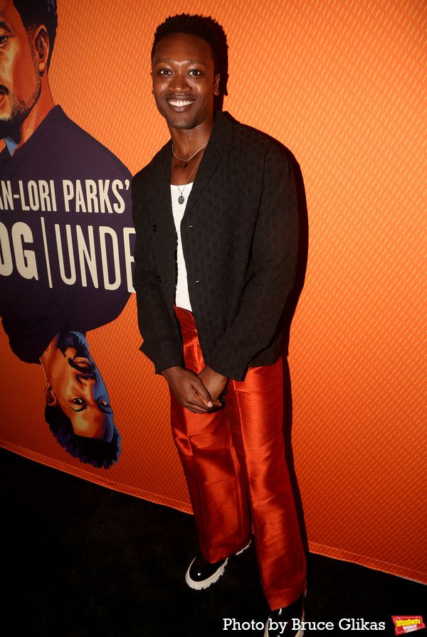 Photos: Stars Walk the Red Carpet on Opening Night of TOPDOG/UNDERDOG — photo 57 of 66