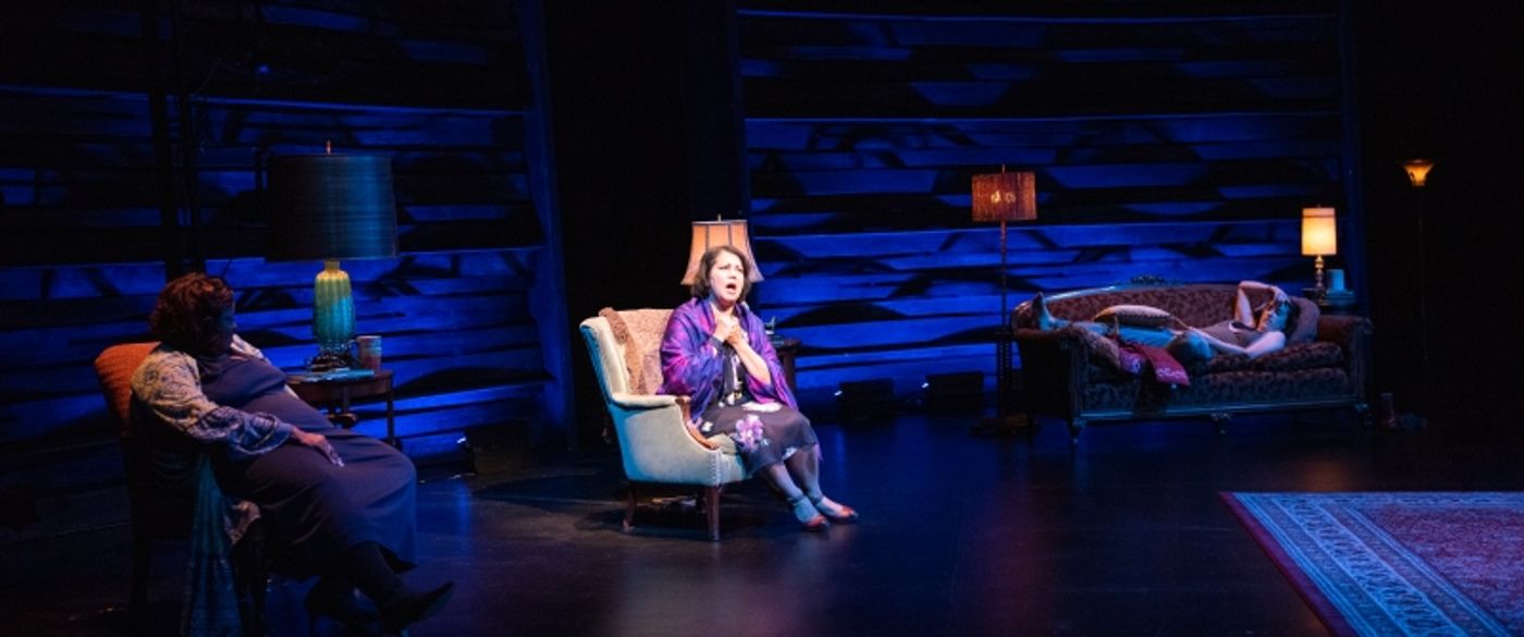 Review: MY BODY NO CHOICE Rallies Cries of Resistance at Arena Stage  Image