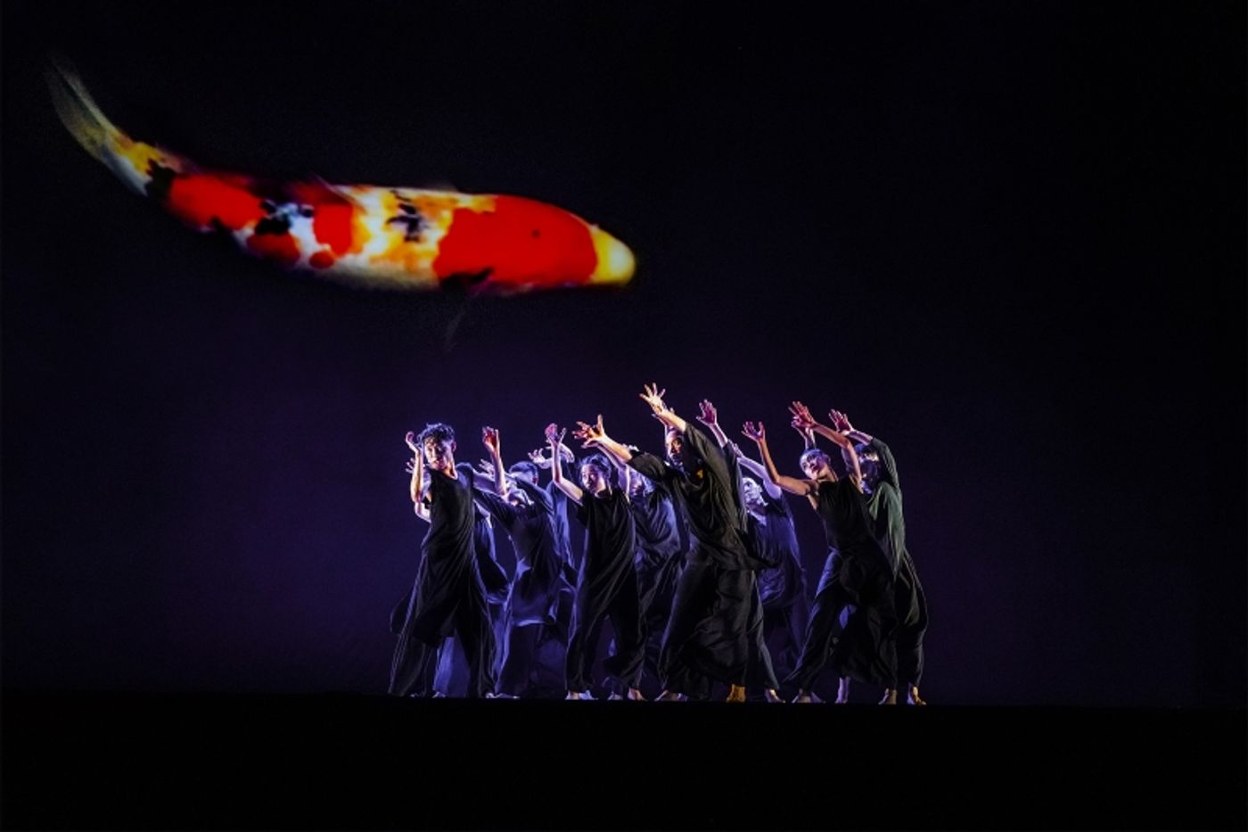 Review: CLOUD GATE DANCE THEATRE OF TAIWAN: 13 TONGUES at The Kennedy Center Review: CLOUD GATE DANCE THEATRE OF TAIWAN: 13 TONGUES at The Kennedy Center Image