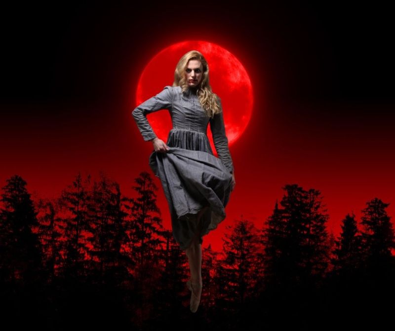 Review: Ballet Arkansas' DRACULA at PTC-CHARTS Takes Ballet to the Next Level Through Multimedia Effects  Image