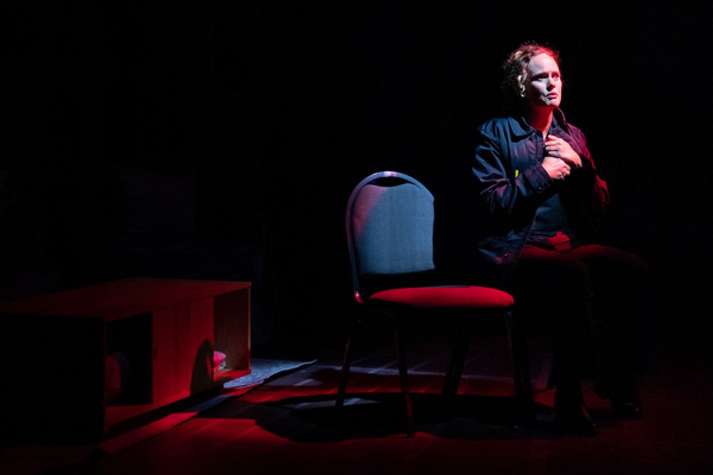 Photos: The Gift Theatre Presents the World Premiere of THE LOCUSTS  Image