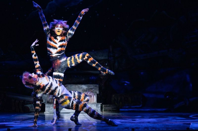 Review: CATS at Minneapolis' Orpheum Theater Review: CATS at Minneapolis' Orpheum Theater Image