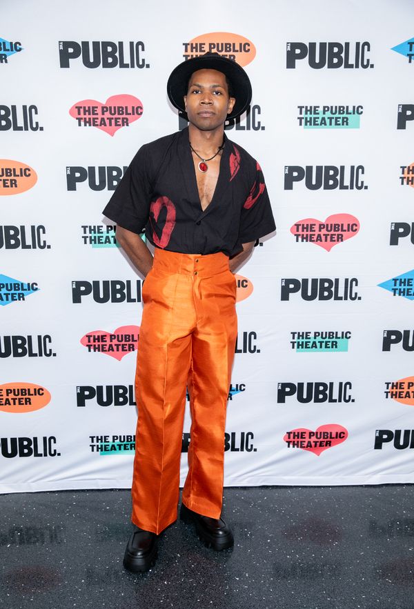 Photos: Go Inside Opening Night of A RAISIN IN THE SUN at The Public Theater — photo 13 of 26