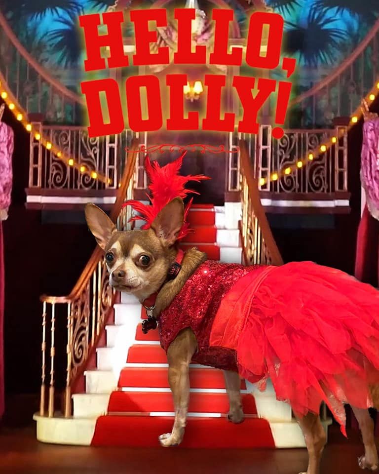 Our Readers Share Their Broadway-Inspired Halloween Costumes  Image