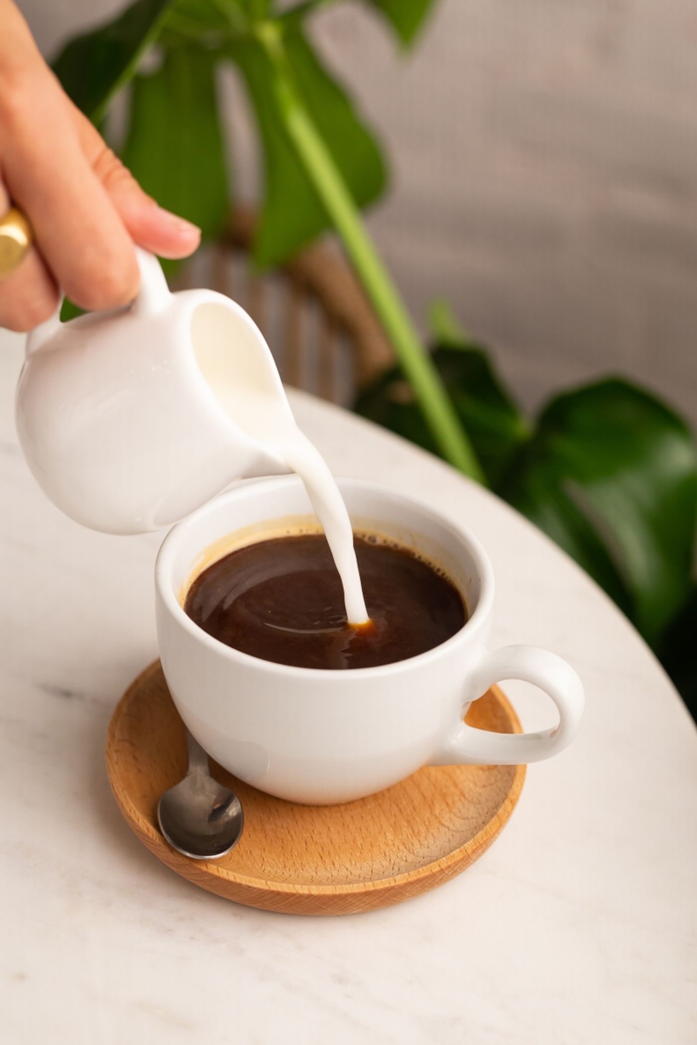 Review: OL'DAYS in NoMad Charms and Delights with Fresh Flavors Review: OL'DAYS in NoMad Charms and Delights with Fresh Flavors Image