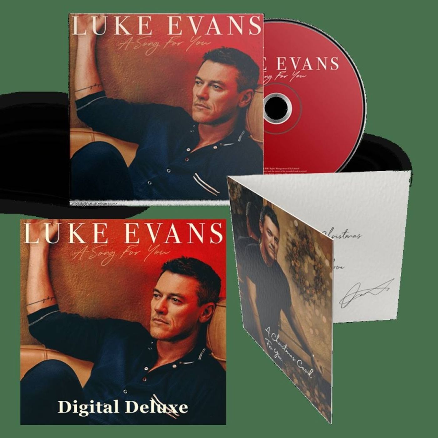 Album Review: Superstar Movie Star Luke Evans has A SONG FOR YOU  Image
