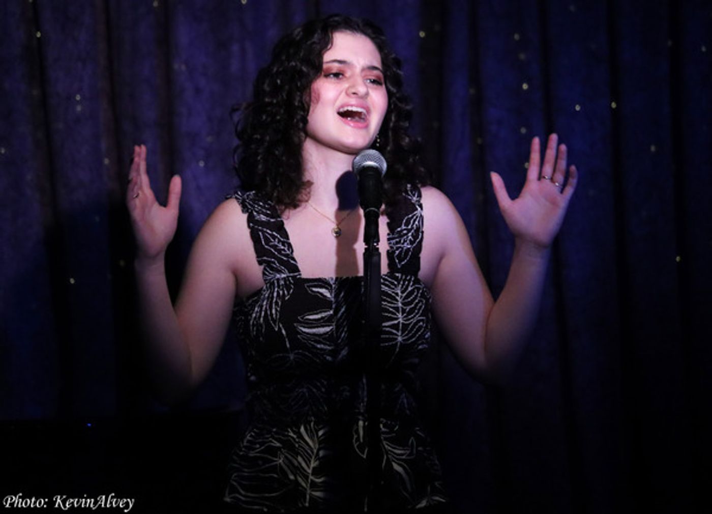 Photos: St. Louis Cabaret Conference in New York 2022 Photos: St. Louis Cabaret Conference in New York 2022 Image