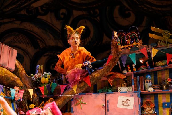 Susan Harrison Photo