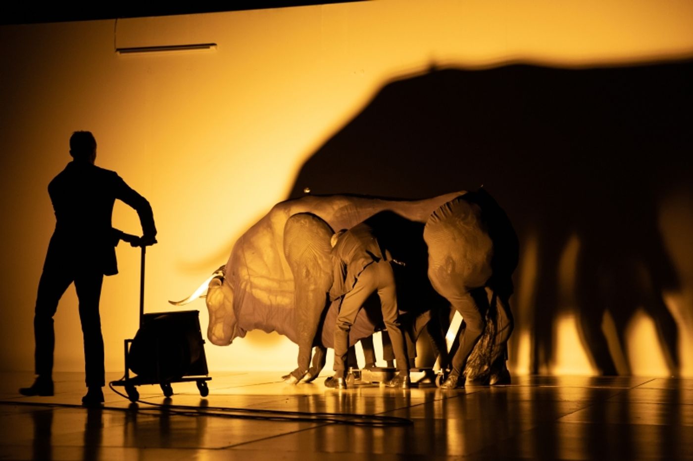 Review: TRANSVERSE ORIENTATION at BAM's Howard Gilman Opera House  Image