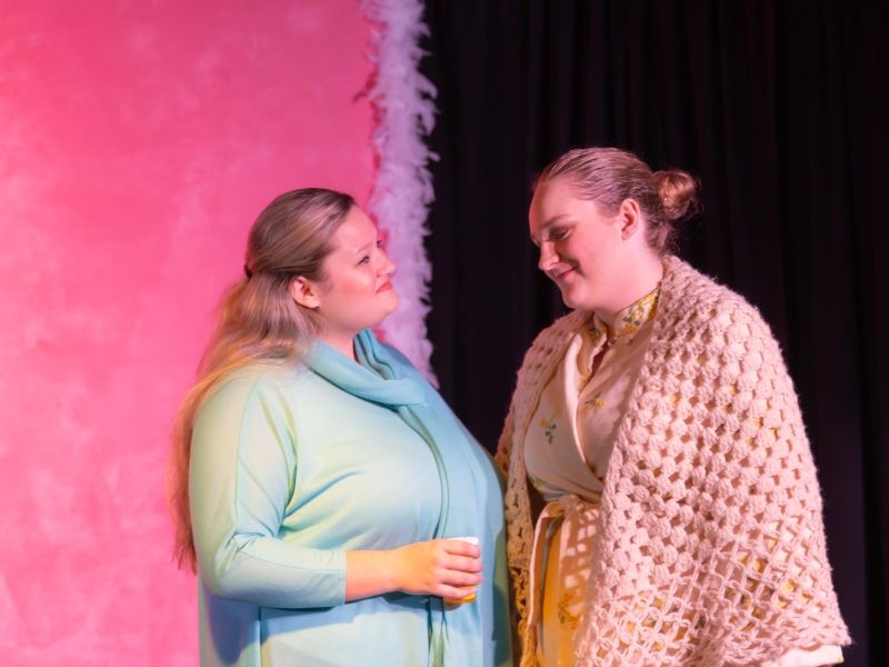 Review: A....MY NAME IS ALICE at Red Curtain Theatre Is a Girl-Power Celebration  Image