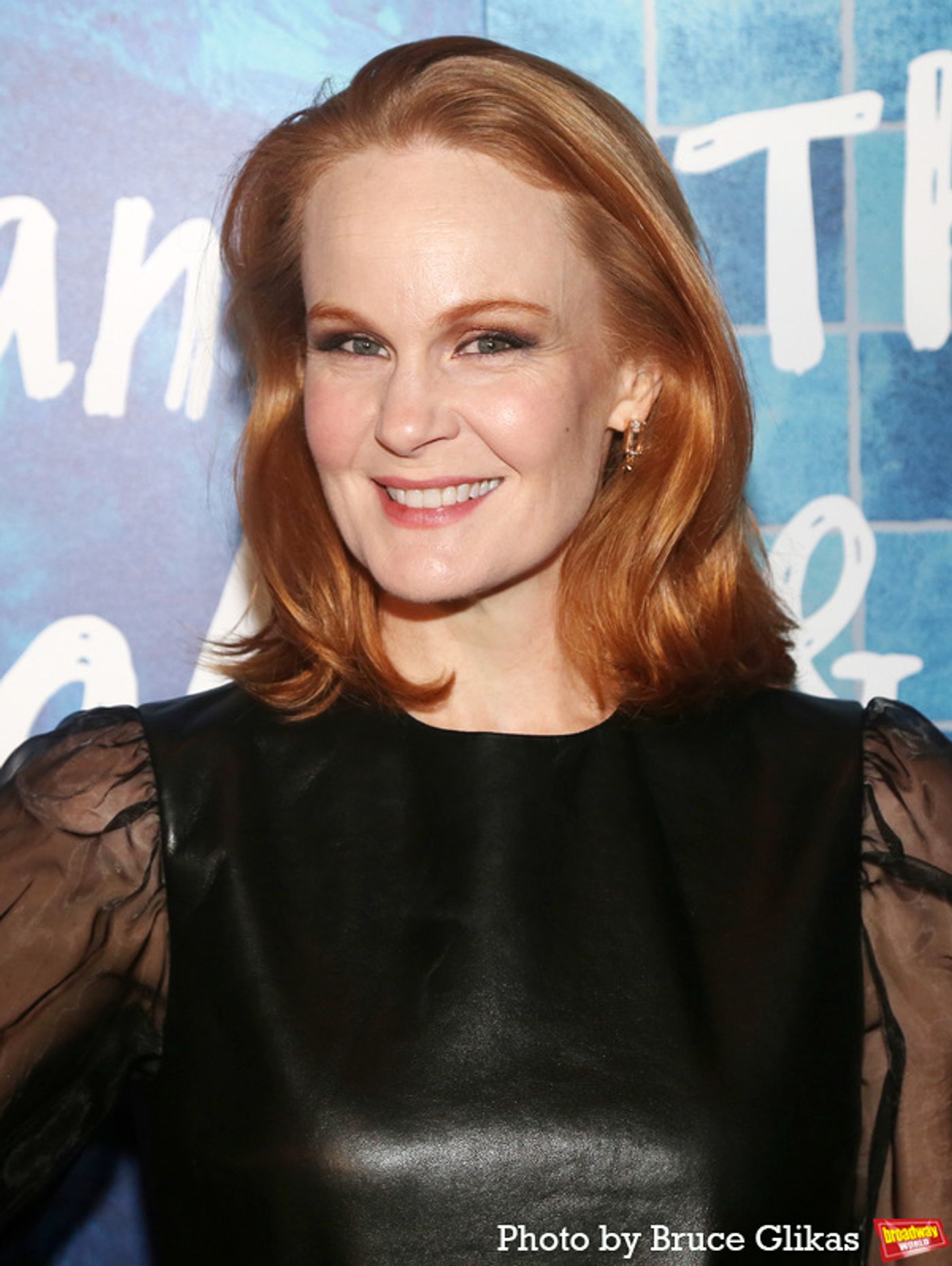 Photos: On the Red Carpet for Opening Night of Mike Birbiglia: THE OLD MAN & THE POOL  Image