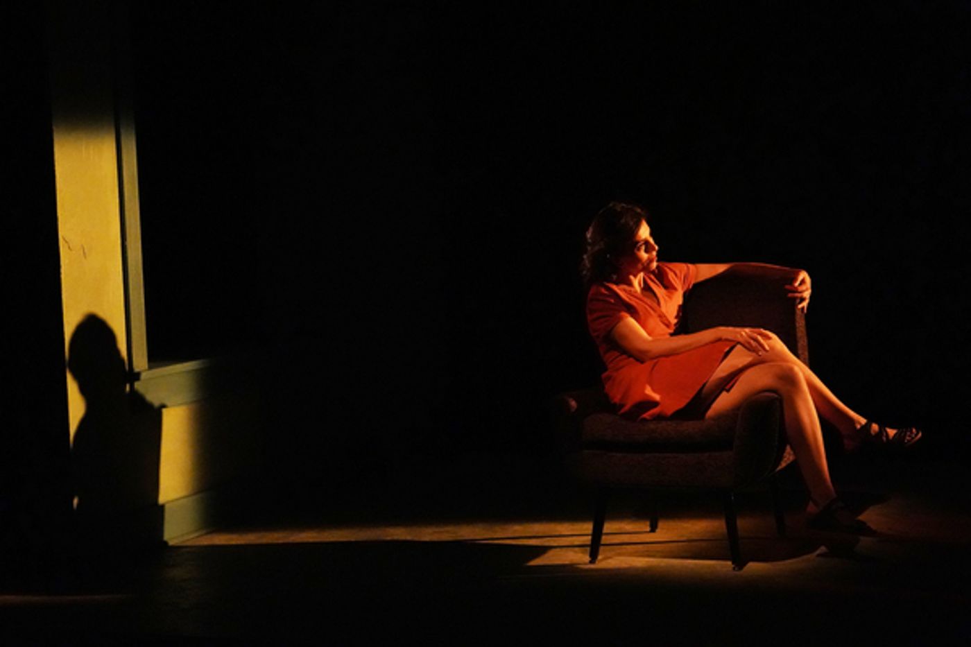 Photos: First Look at Marjan Neshat in the World Premiere of SANDRA at Vineyard Theatre  Image