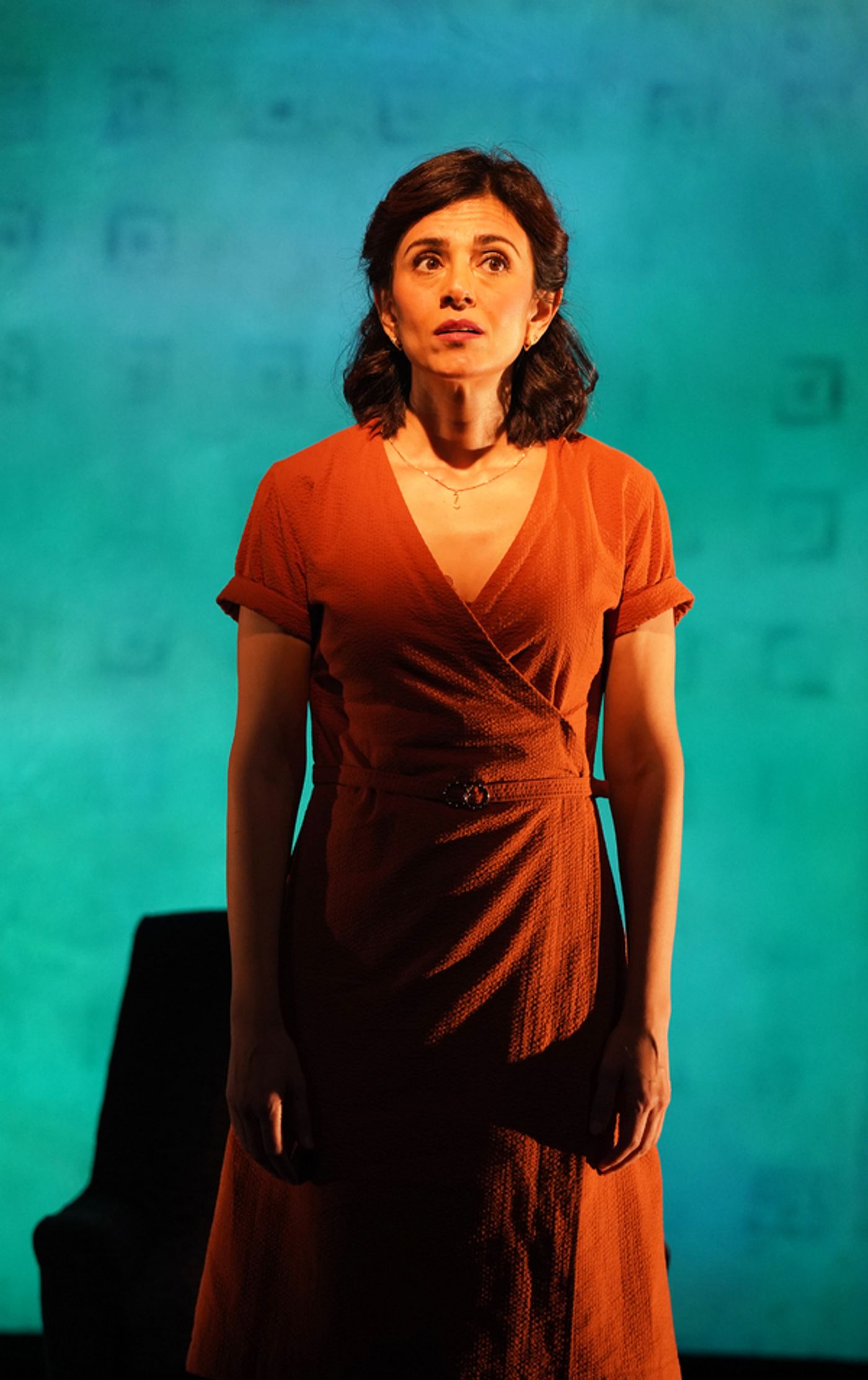 Photos: First Look at Marjan Neshat in the World Premiere of SANDRA at Vineyard Theatre  Image