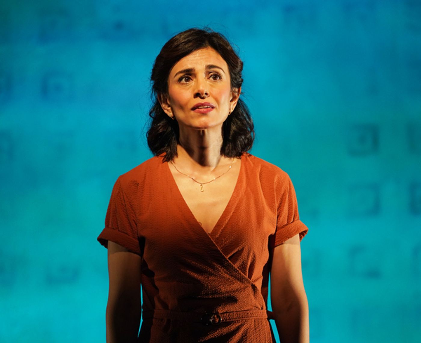 Photos: First Look at Marjan Neshat in the World Premiere of SANDRA at Vineyard Theatre  Image