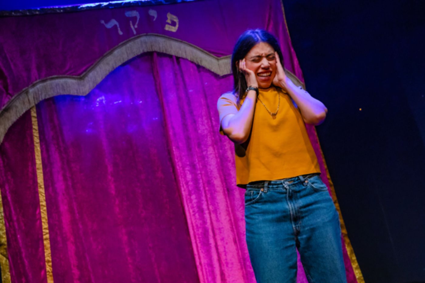 Photos: First Look at Deli Segal in PICKLE at the Park Theatre Photos: First Look at Deli Segal in PICKLE at the Park Theatre Image