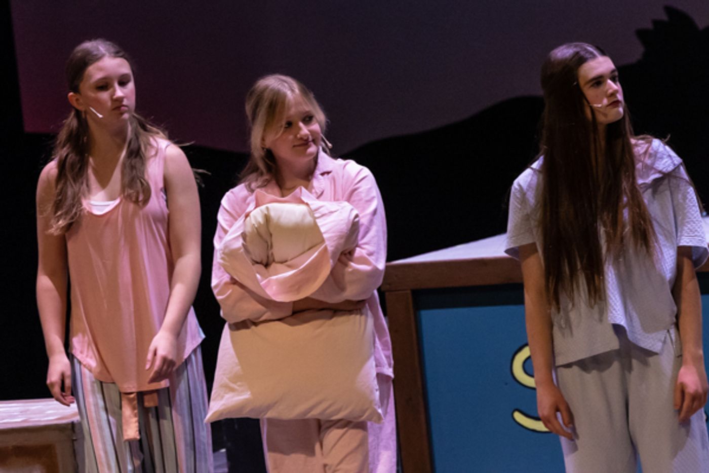 Photos: First look at Dublin Jerome High School's THE MUSICAL ADVENTURES OF FLAT STANLEY, JR.  Image
