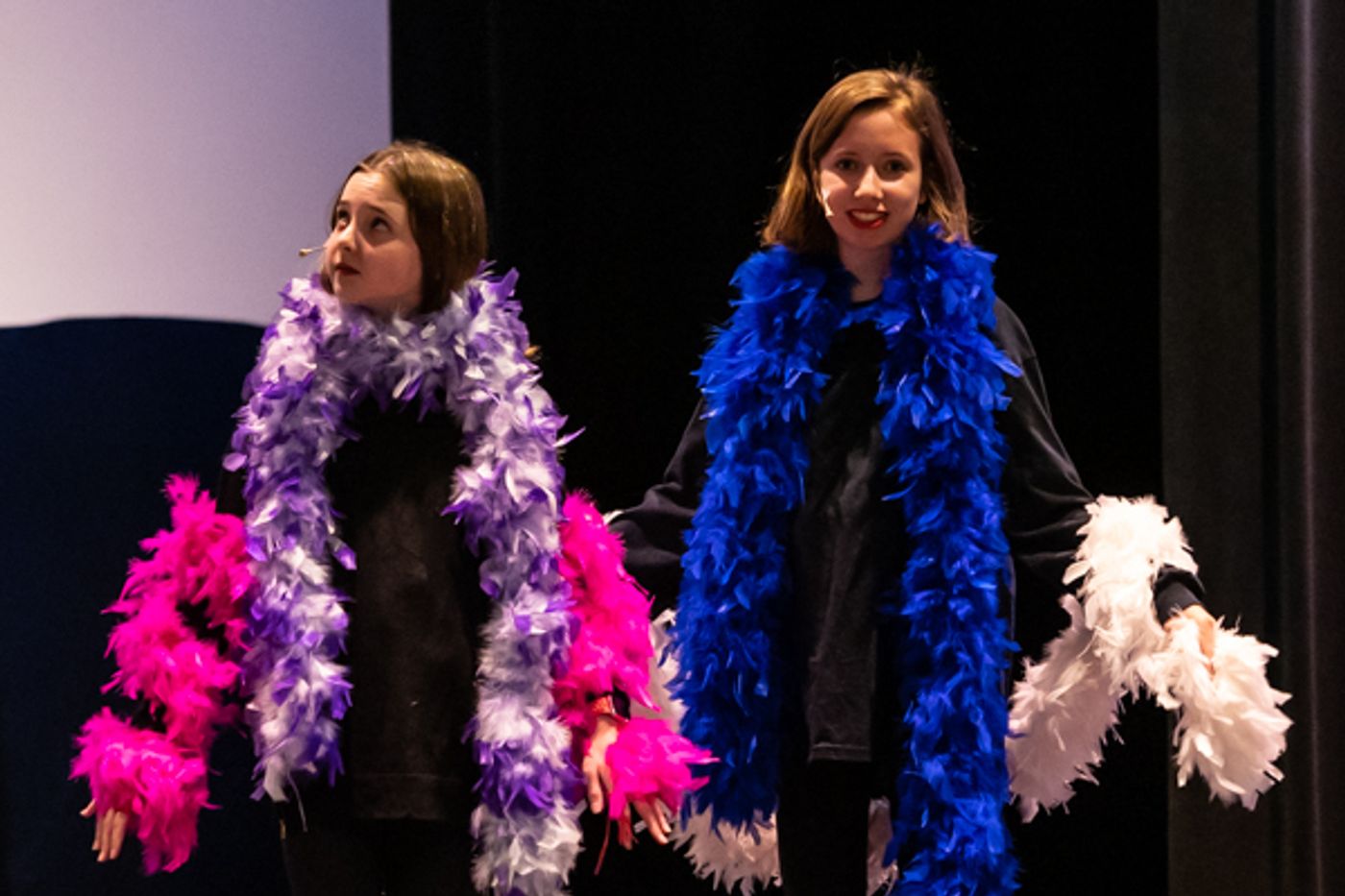Photos: First look at Dublin Jerome High School's THE MUSICAL ADVENTURES OF FLAT STANLEY, JR.  Image