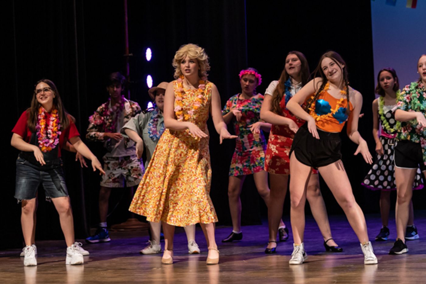 Photos: First look at Dublin Jerome High School's THE MUSICAL ADVENTURES OF FLAT STANLEY, JR.  Image