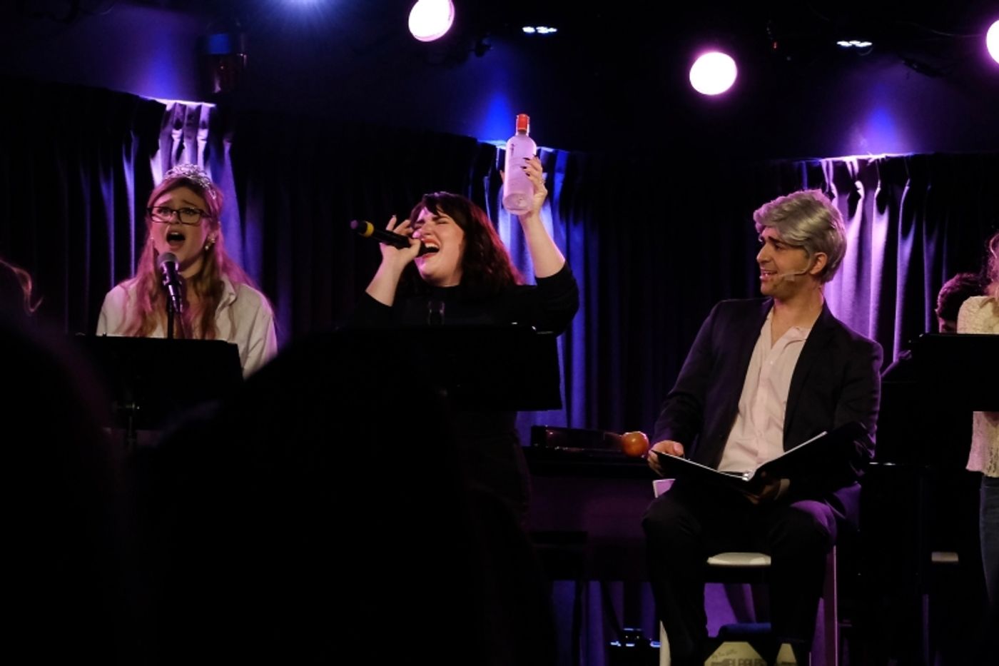 Review: THE REAL HOUSEWIVES OF NEW YORK: THE UNAUTHORIZED PARODY MUSICAL at The Green Room 42 by Guest Reviewer McKay Wall  Image